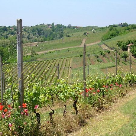 Cascina Rollone Villa Rocchetta Tanaro Kültér fotó