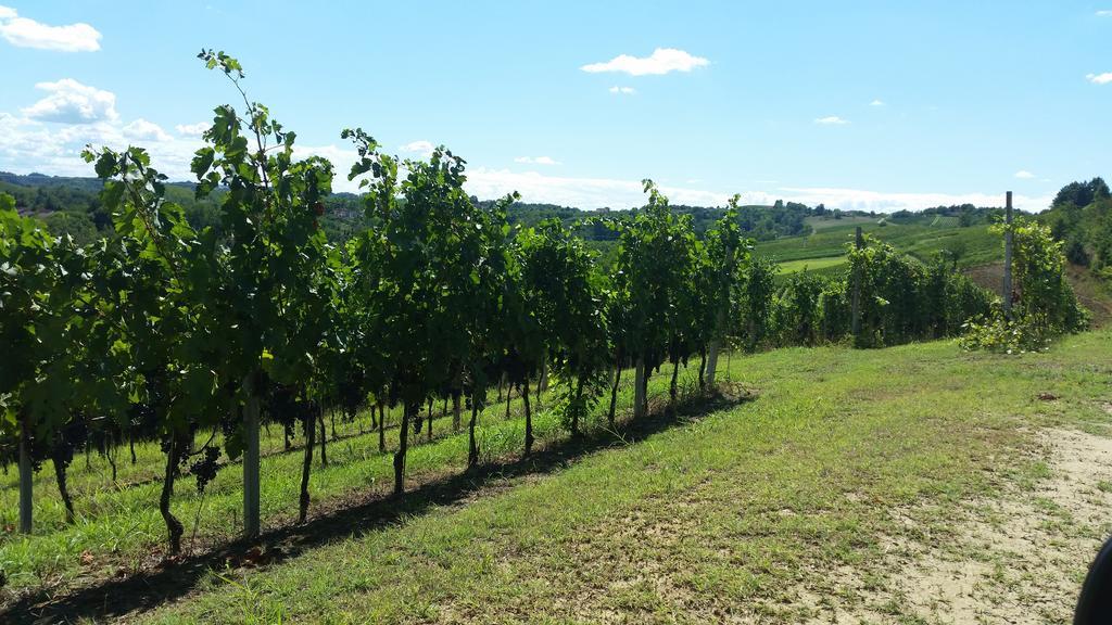 Cascina Rollone Villa Rocchetta Tanaro Kültér fotó