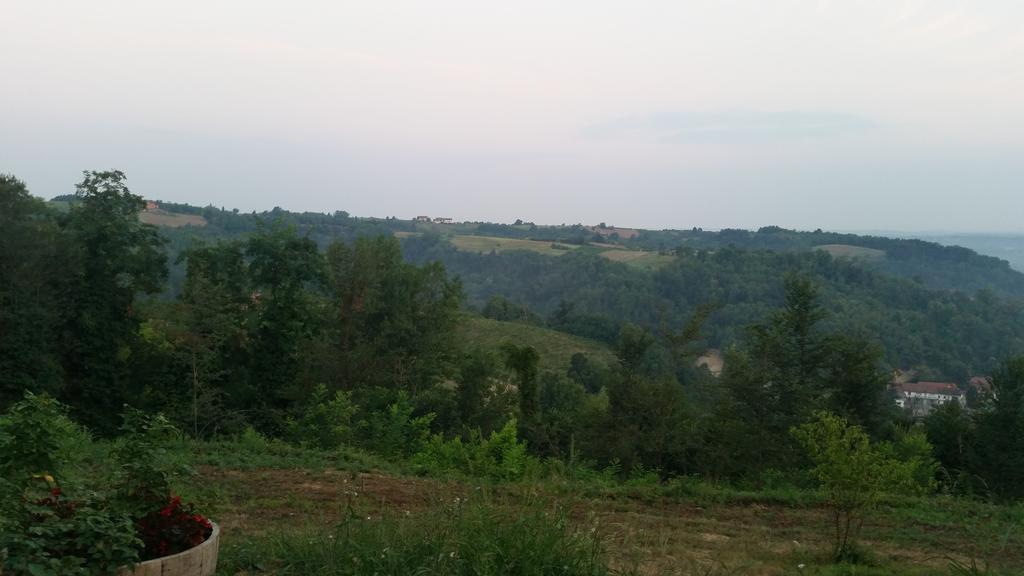 Cascina Rollone Villa Rocchetta Tanaro Kültér fotó